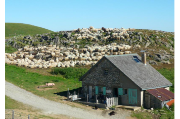 Cabane de berger à la Pierre Saint-Martin 